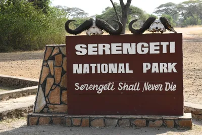 DSC_4130 (Large).JPG